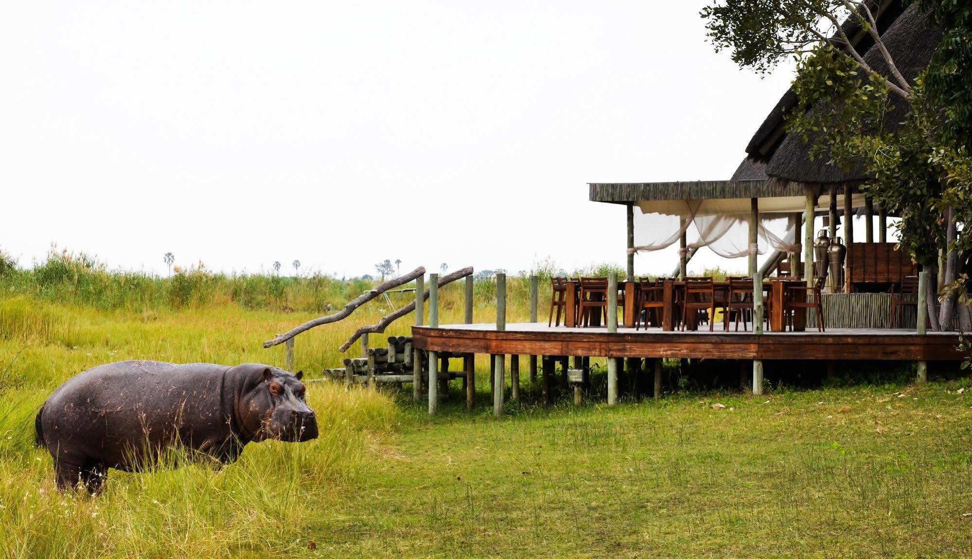 Hotel Selinda Camp Selinda Reserve Exterior foto